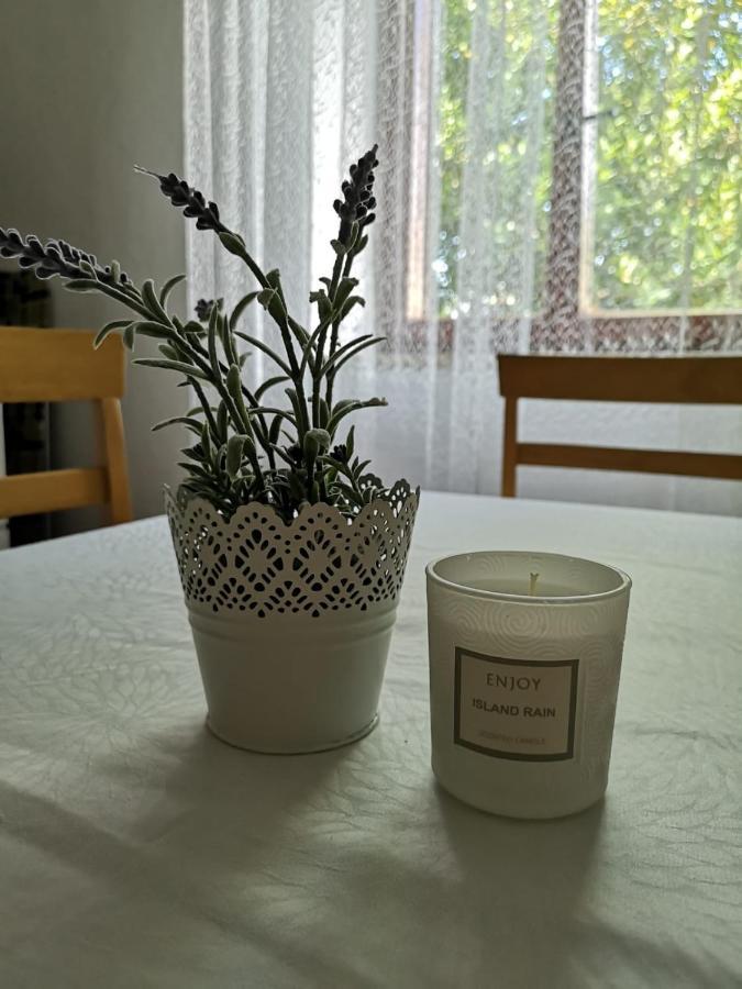 Apartment Kalavojna Rakalj ภายนอก รูปภาพ